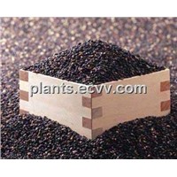 sell black rice extract: anthocyanidin