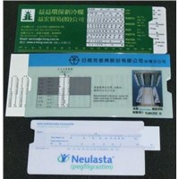 Plastic slide ruler
