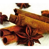 Vietnam high quality cinnamon sticks with reasonable price