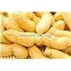 Kingherbs offer China Peanut Shell Extract-Luteolin