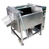 MSTP-500 Taro/Potato Washer& Peeler