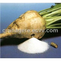 Refined White Beet Sugar