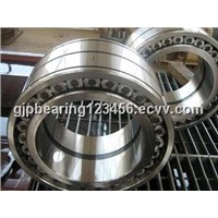 Full-Complement Cylindrical Roller Bearing (SL04 5024PP)
