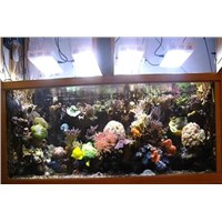 100W LED Aquarium Lights(Seawater)