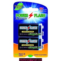 6LR61 9V alkaline battery-Disposable Batteries