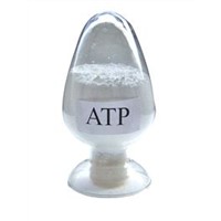 Adenosine Triphosphate Disodium Salt(ATP)
