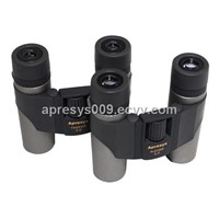 Apresys Compact/Pocket Binoculars S2510