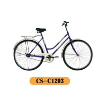 CS---C1203