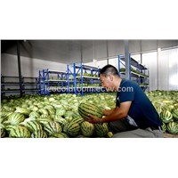 Cold storage room for fruit and vegetable farm TOP-10