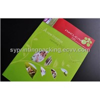 Color Printing Brochures