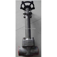 Cryogenic gate valve