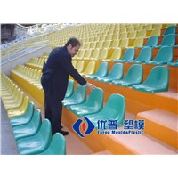 Customer with Our Stadium Seat Injection Mould