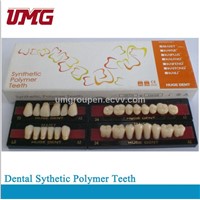 Dental Sythetic Polymer Teeth/dental material
