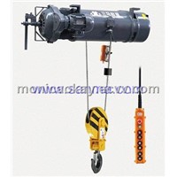Electric wire rope hoist for marine application
