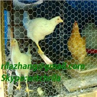 Export Chicken wire mesh,  Export pet cage, ,