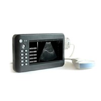 Hand carried digital diagnostic Ultrasound System for human use