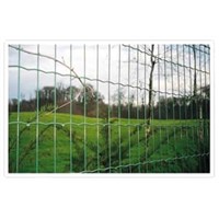 Holland Wire Mesh(Factory)