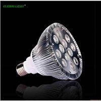 LED PAR30 spotlight