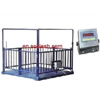 Livestock scales,animail scale from Shanghai YingHeng Weighing Scale China