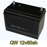 Maintenance free battery case mould/battery box mould/battery container mould