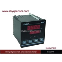 N series pressure temperature indicator