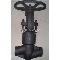 P.S globe valve