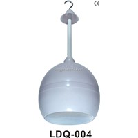 Projector Speaker, CE Approve (LDQ-004)