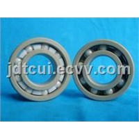 Resistant Ceramic bearing and Plastic Bearings