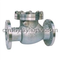 Swing Check Valve