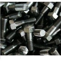 Track Roller Bolts