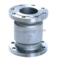 Vertical check valve flange end