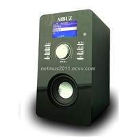 internet radio/wifi radio/DLNA Speaker/support play USB/Alarm Clock