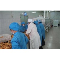 microwave multi-purpose apple pai drying and sterilizing machine