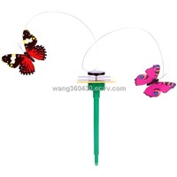 solar dancing butterfly