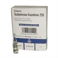 Testosterone Enanthate 250 - 10 amps x 250 mg/ml