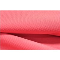 Polyester 75D*300D Dobby W/PU Coating