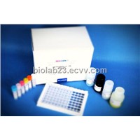 America Reagen Chloramphenicol ELISA Test Kit