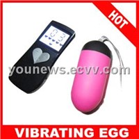 10 speeds function remote control Vibrating Eggs, bullet vibrator sex toy for woman1028