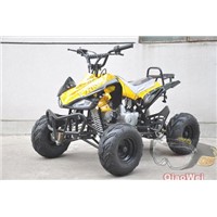 110cc/125cc atv(QW-ATV-02)
