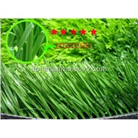 Artificial Grass