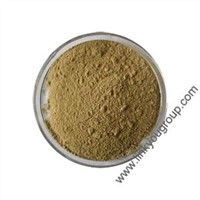 Bulk Herb Extract Powder for Men ( factory supply )