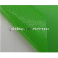 Color Changing Film For Car Body Decoration