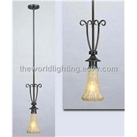 Simple Iron Glass Pencant Lamp / Chandelier in China (D10988-1B)