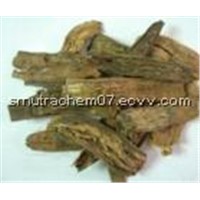 Danshen Root Extracts(Sage root extract)