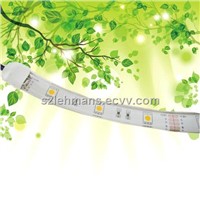 Decorative Lighting LED Rigid Strip SMD5050 60PCs/M