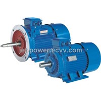 Gost standard Three-phase Induction Motor