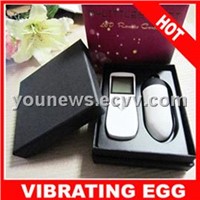 LCD Vibrating Eggs / Bullet single vibrating bullet sex toy1028