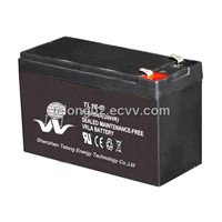 Low self-discharge 12v9ah UPS battery