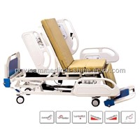 Multi-Function Electric Bed PA-10