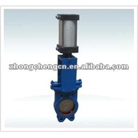 Parallel Slurry Valve